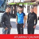 erdemsan