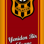 Hlsi44