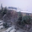 soydanselim